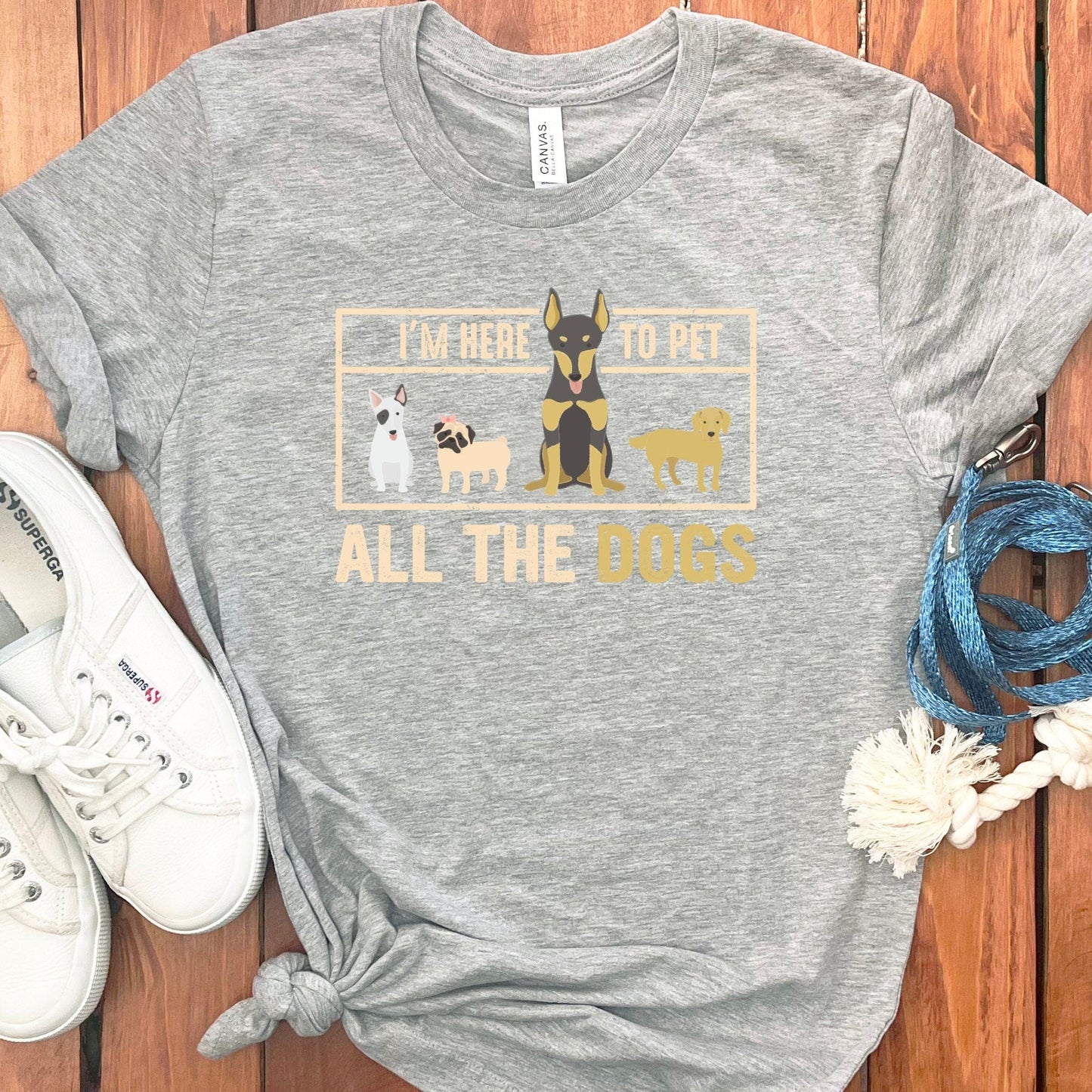 2dc55c17-0ade-43d4-91fd-6cdd0fdfdd7e