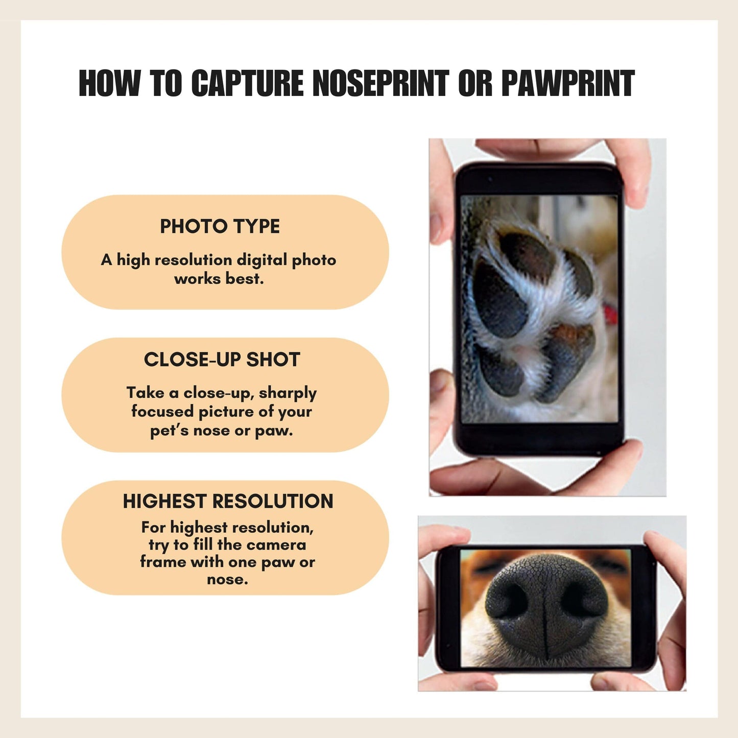 Buck® Folding Pet Personalized Engraved Knife