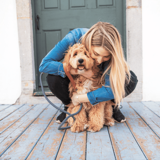Understanding and Caring for Dogs with Seizures