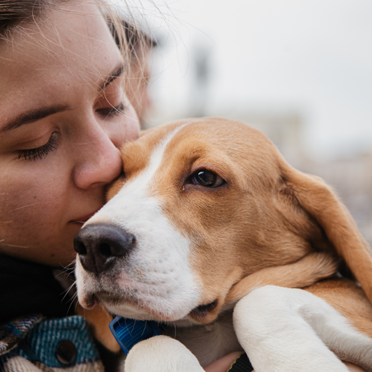 Navigating Canine Grief: Understanding and Coping with the Loss of Your Beloved Pup