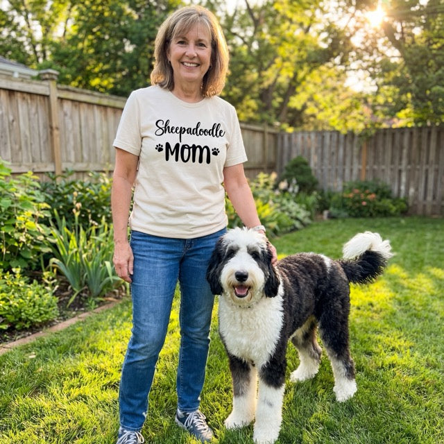 Sheepadoodle Collection