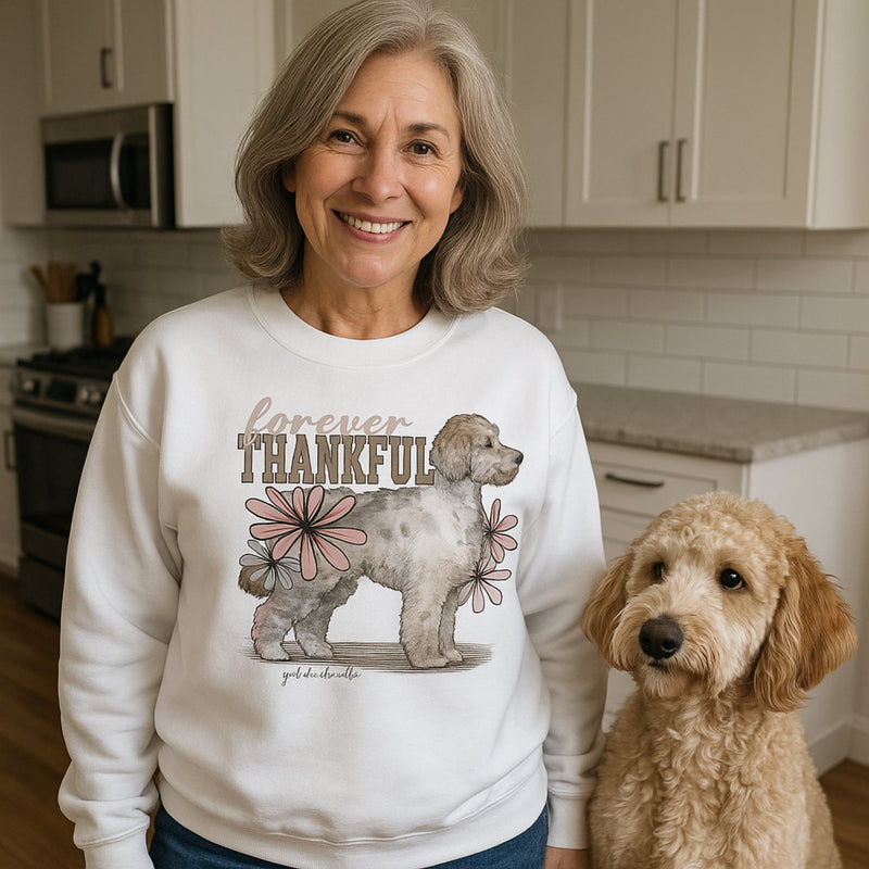 Sweatshirt Collection