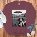 Dog with UFO Background Printed Sweatshirt Product