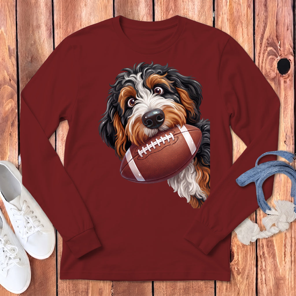 Bernese Mountain Dog holding a football in its mouth on a maroon long-sleeve shirt.
