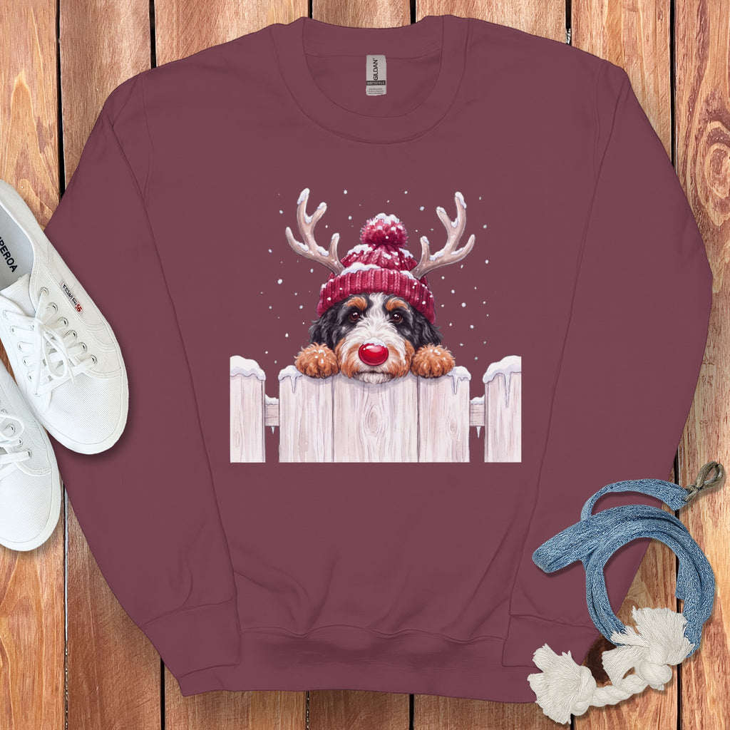 Bernese Mountain Dog wearing a Santa hat and reindeer antlers peeks over a fence.