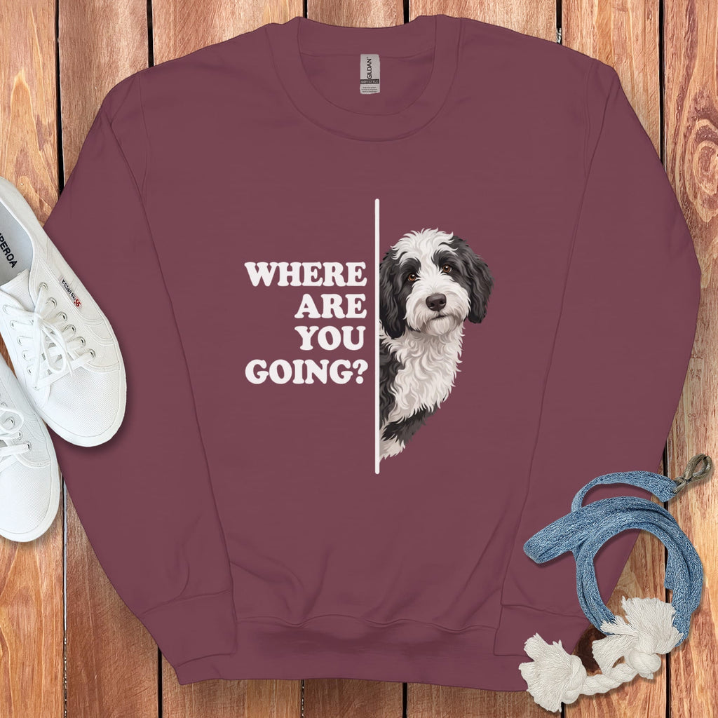 Where Going Sheepadoodle Sweatshirt in Maroon / S by Puppy Jo