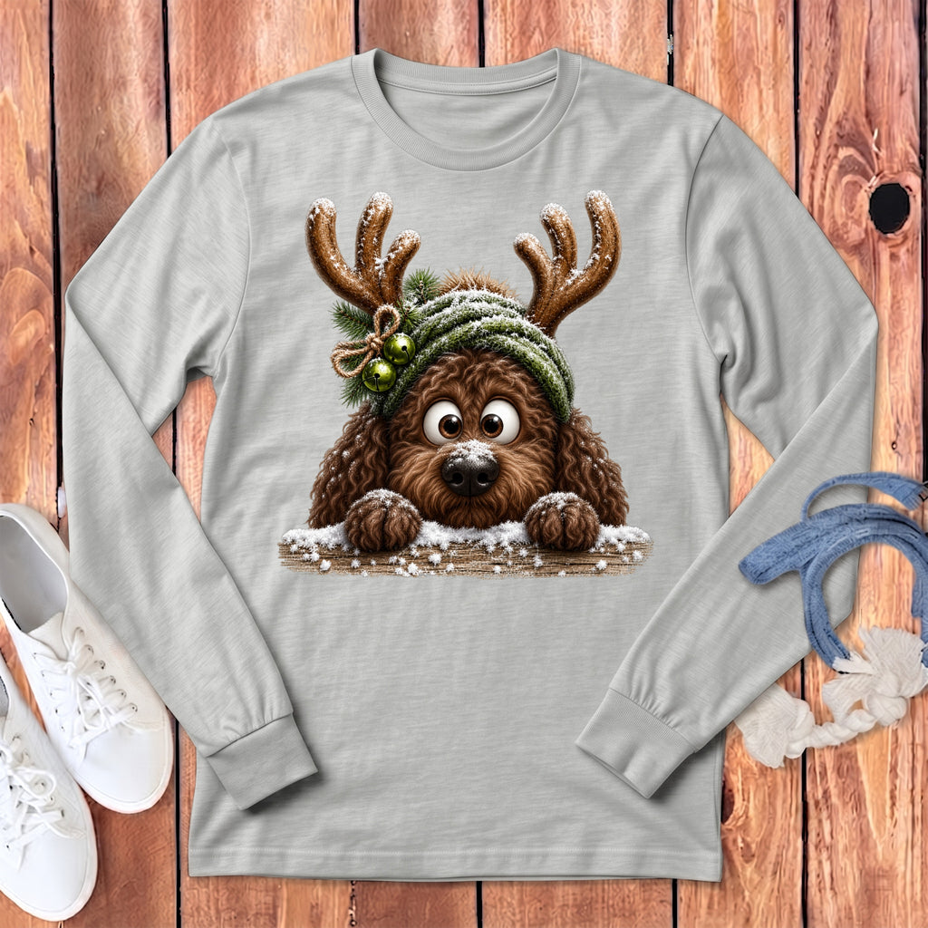 Brown dog with reindeer antlers and snow wearing a green hat with bells.