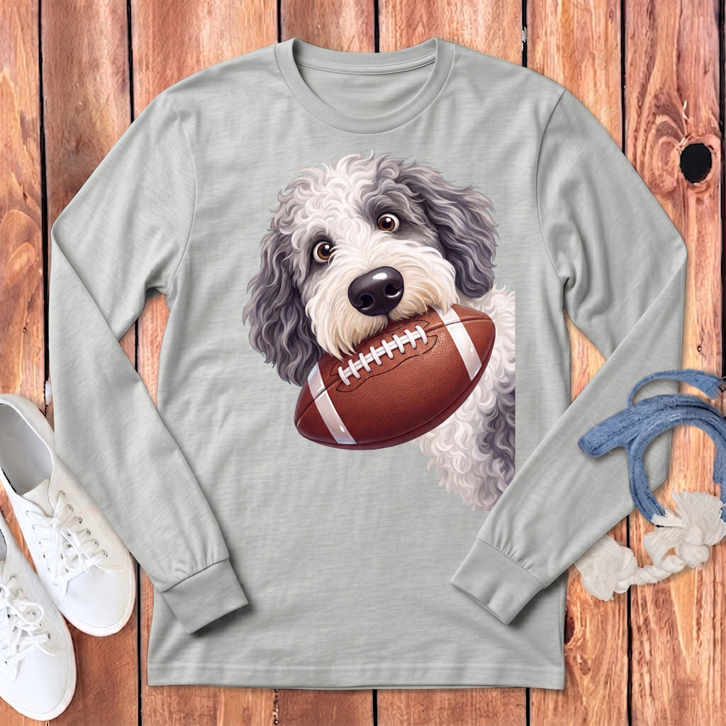 Dog wearing a gray long-sleeve shirt, holding a football in its mouth.