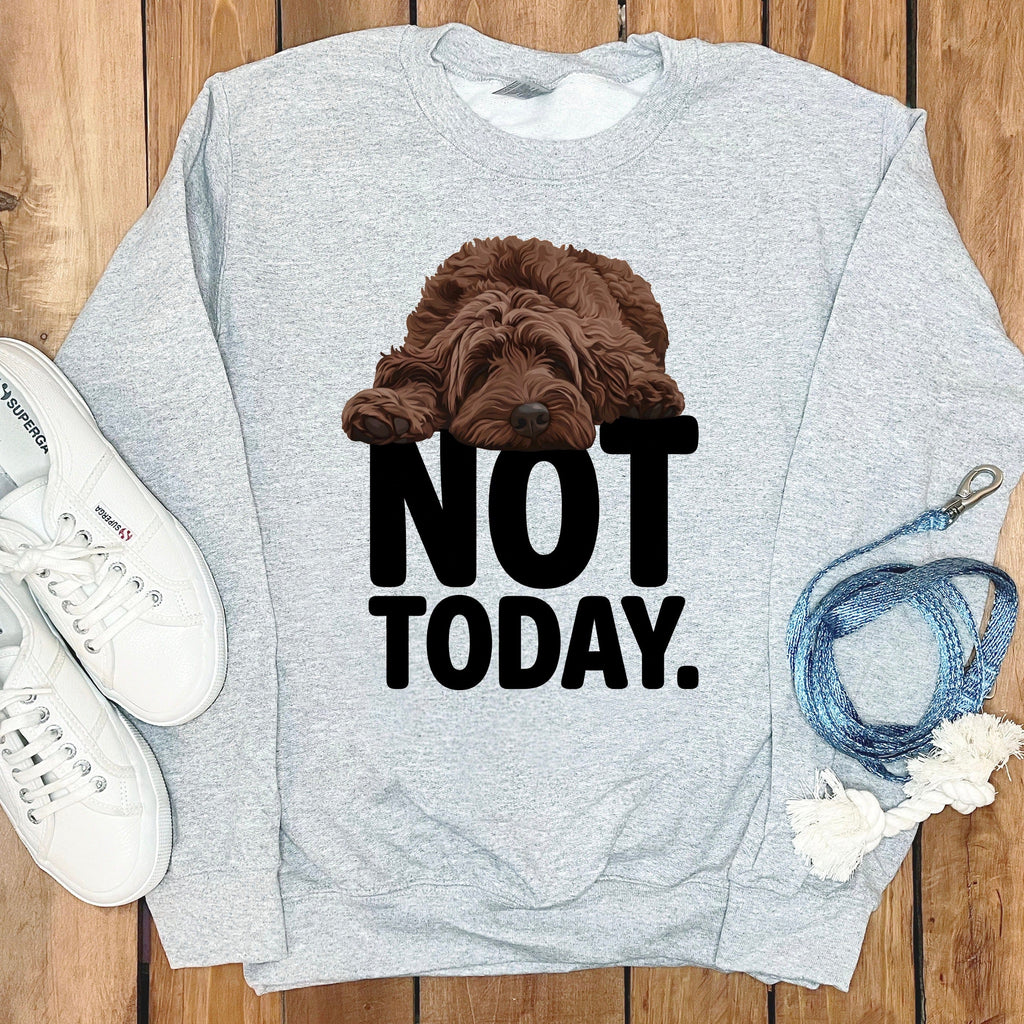 Not Today Dog Lover Sweatshirt Perfect for Relaxing