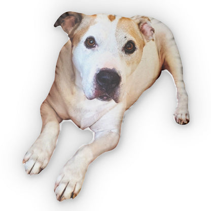 Custom Pet Pillow From Photo