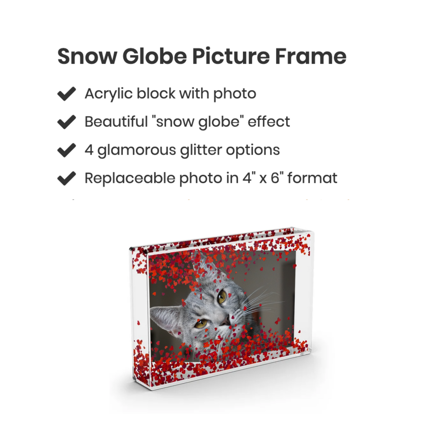 Pet Photo Snow Globe Picture Frame