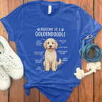 Anatomy of a Goldendoodle T-Shirt Product