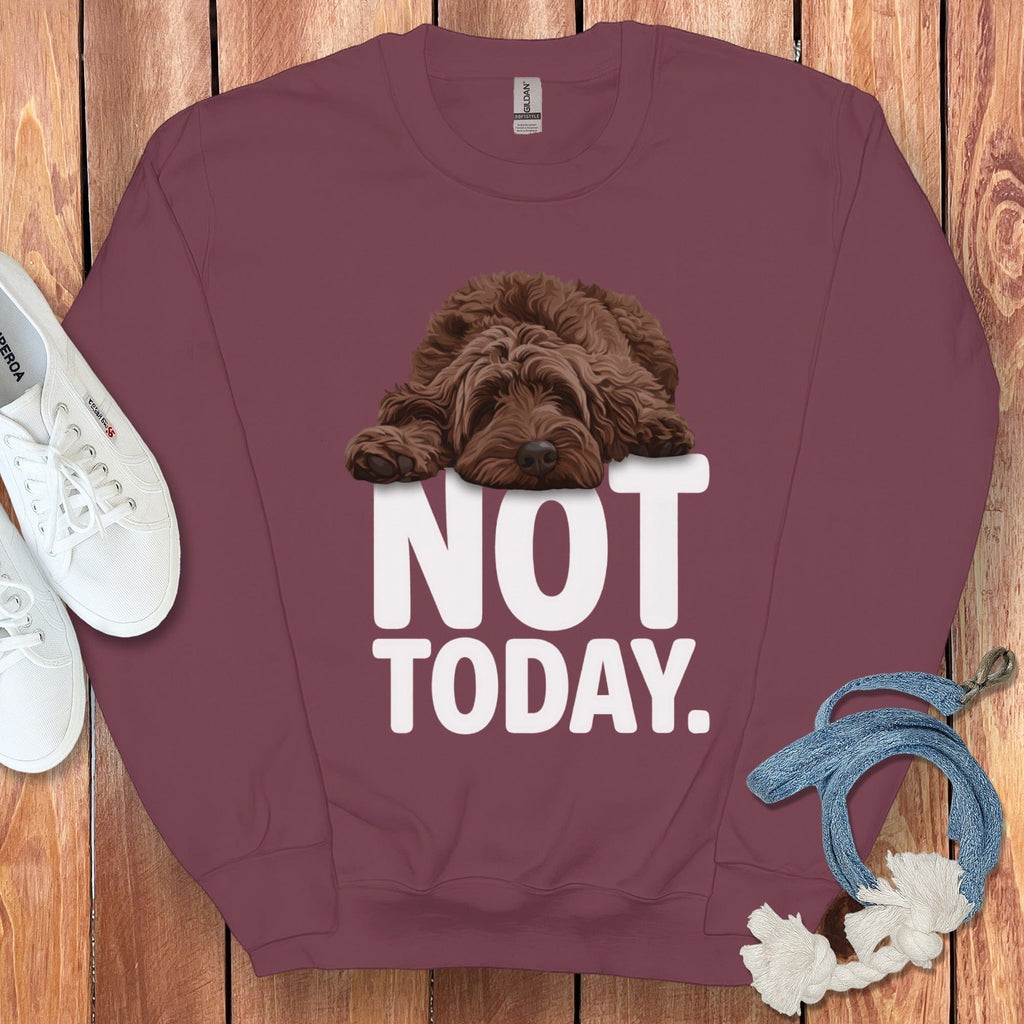 Not Today Dog Illustration Graphic Sweatshirt