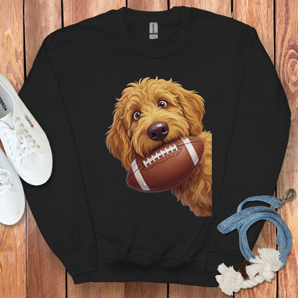 Goldendoodle dog holding a football on a black sweatshirt.