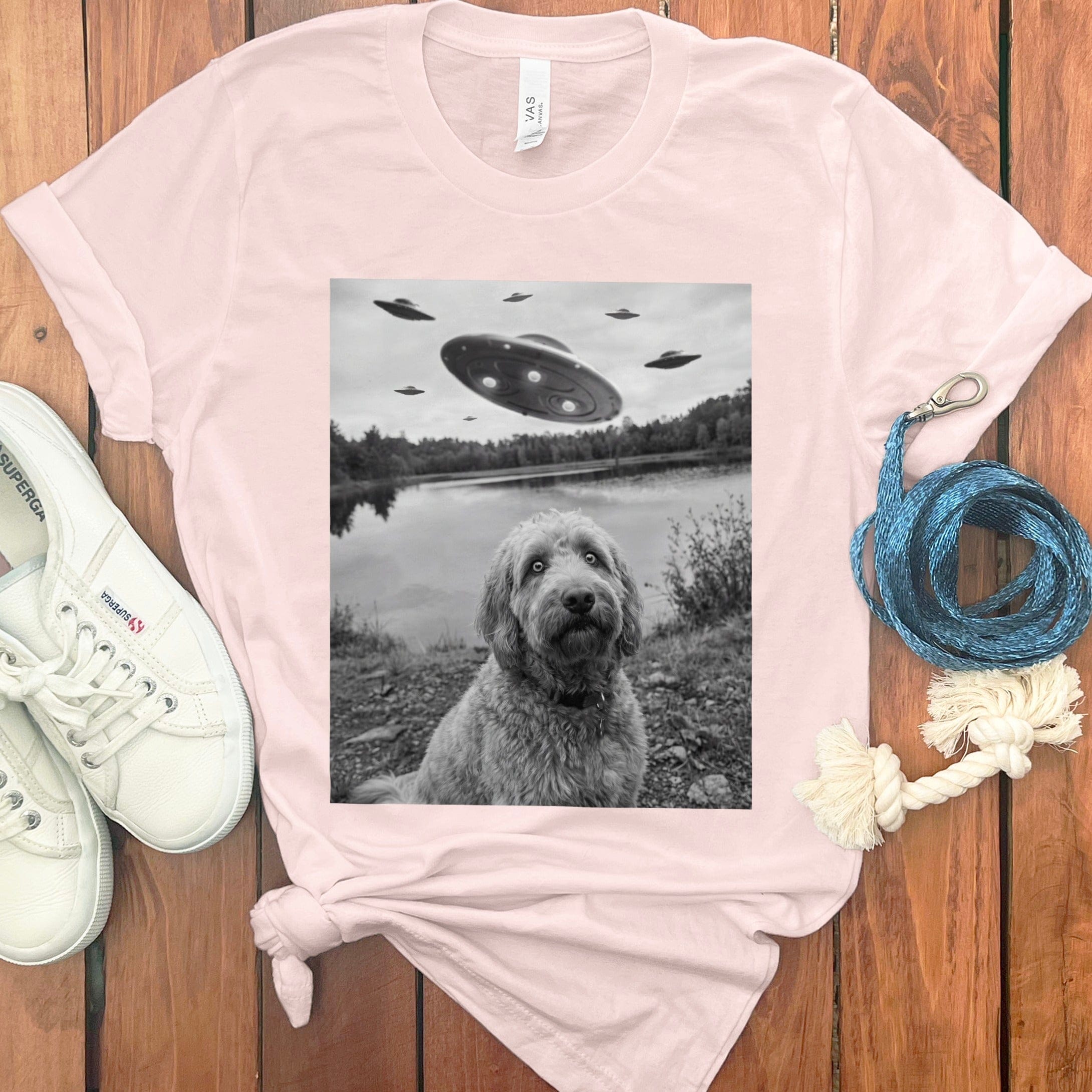Alien Spaceships Above Dog Near Lake T-shirt