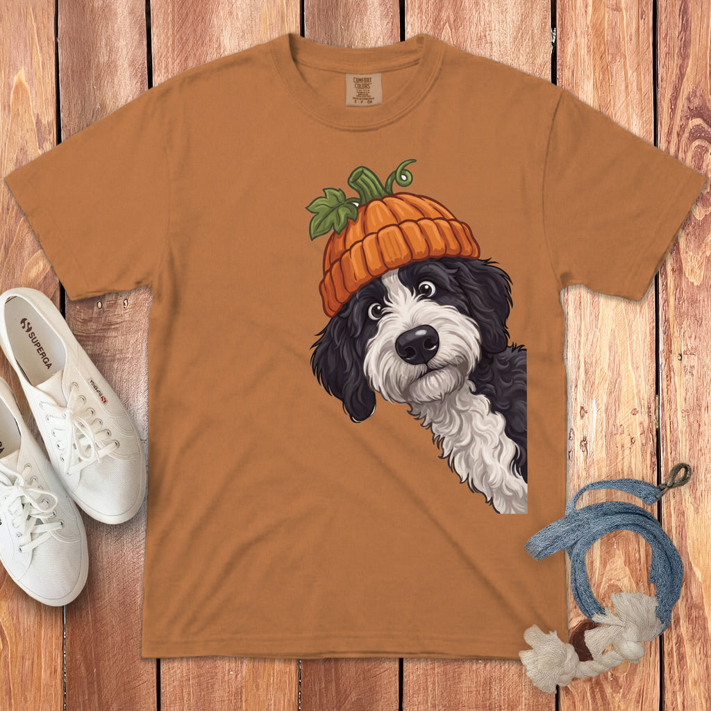 Bernedoodle dog with pumpkin hat graphic on an orange t-shirt.