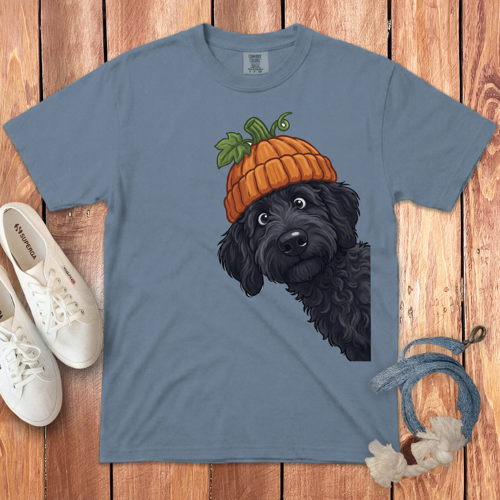 Black dog wearing a pumpkin hat on a blue t-shirt.