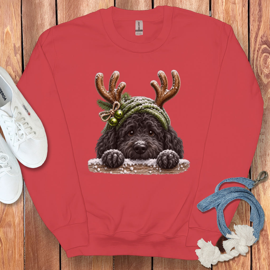 Red sweatshirt with a black dog wearing reindeer antlers and a green beanie.
