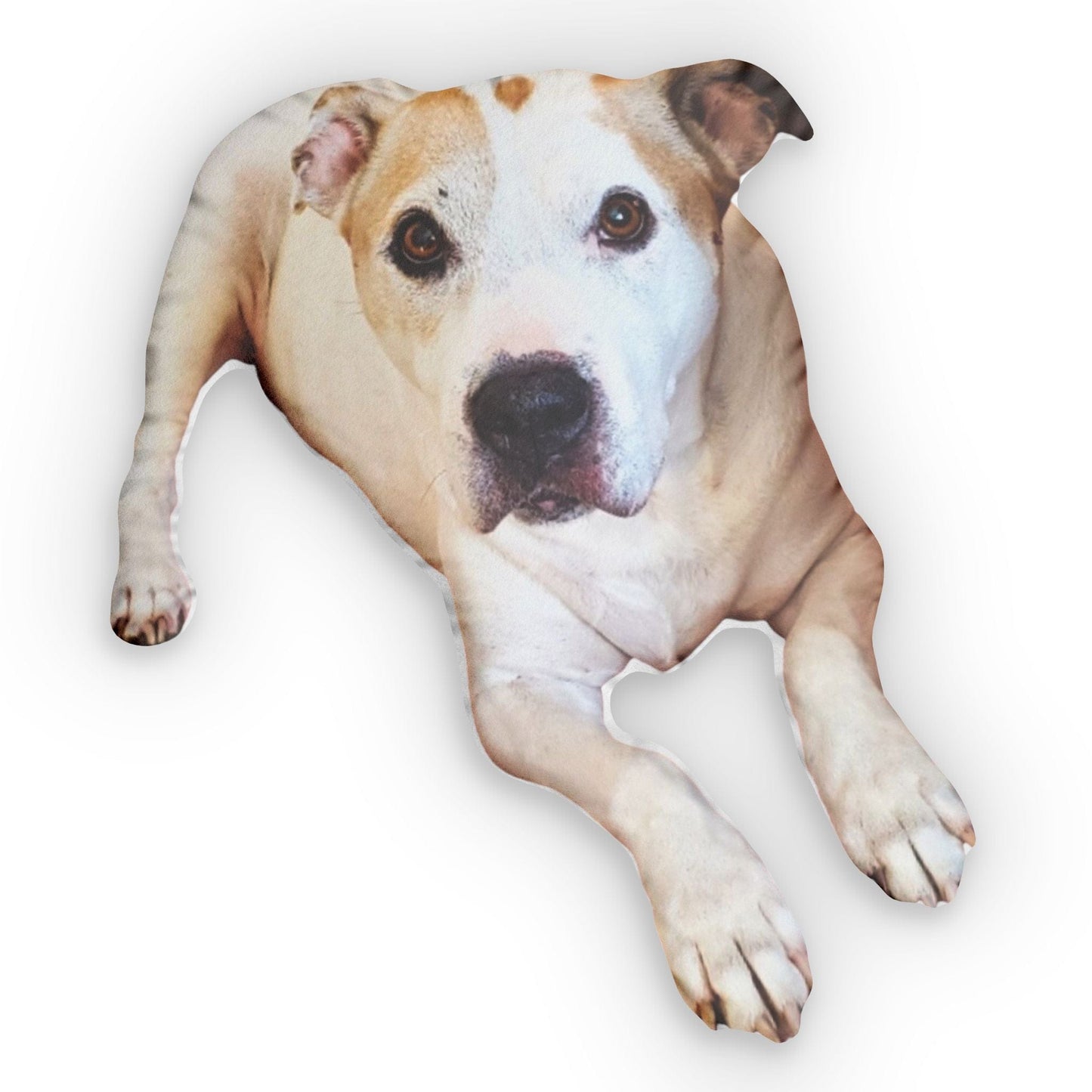 Custom Pet Pillow From Photo