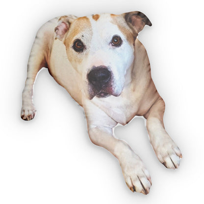 Custom Pet Pillow From Photo