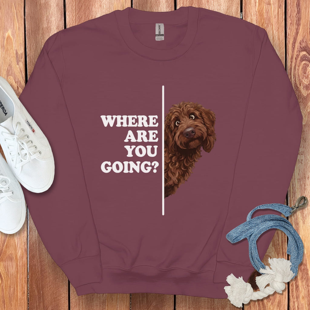 Where Going Chocolate Goldendoodle Sweatshirt in Maroon / S by Puppy Jo