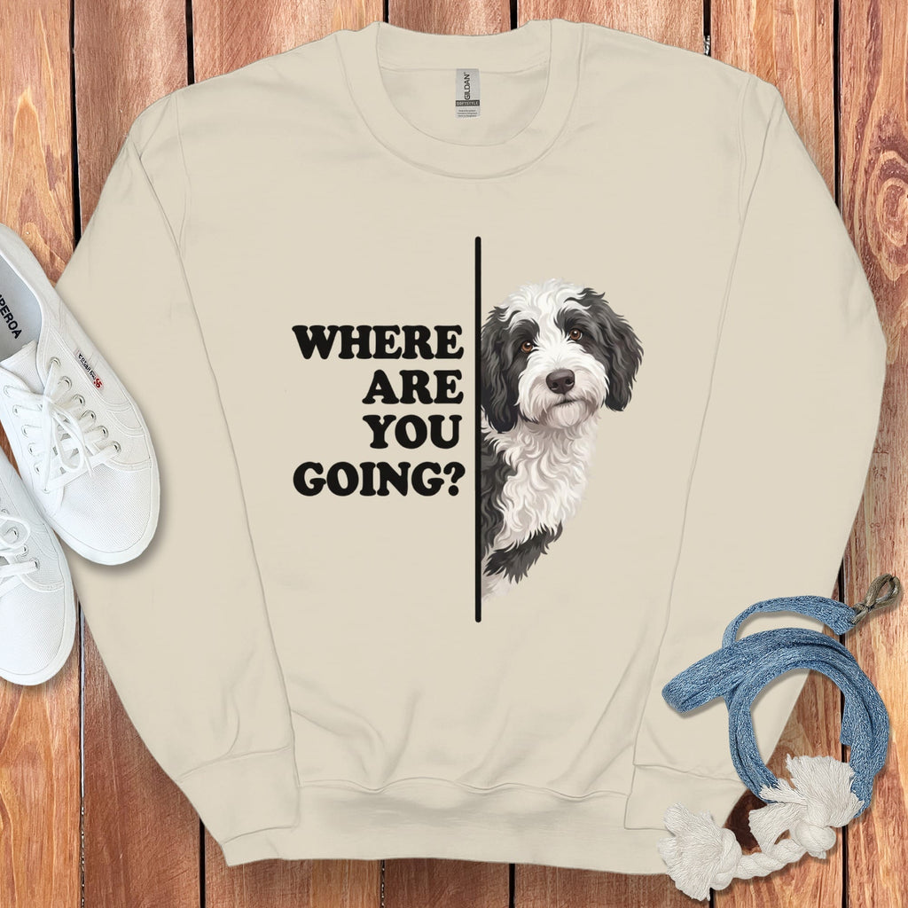 Where Going Sheepadoodle Sweatshirt in Sand / S by Puppy Jo