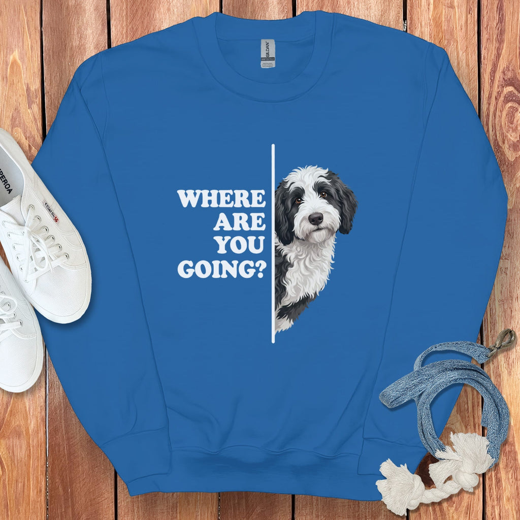 Where Going Sheepadoodle Sweatshirt in Royal / S by Puppy Jo