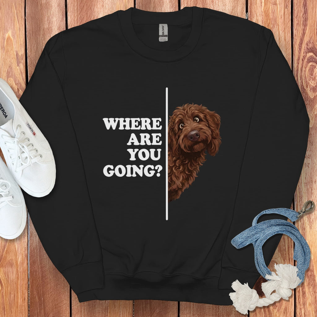 Where Going Chocolate Goldendoodle Sweatshirt in Black / S by Puppy Jo