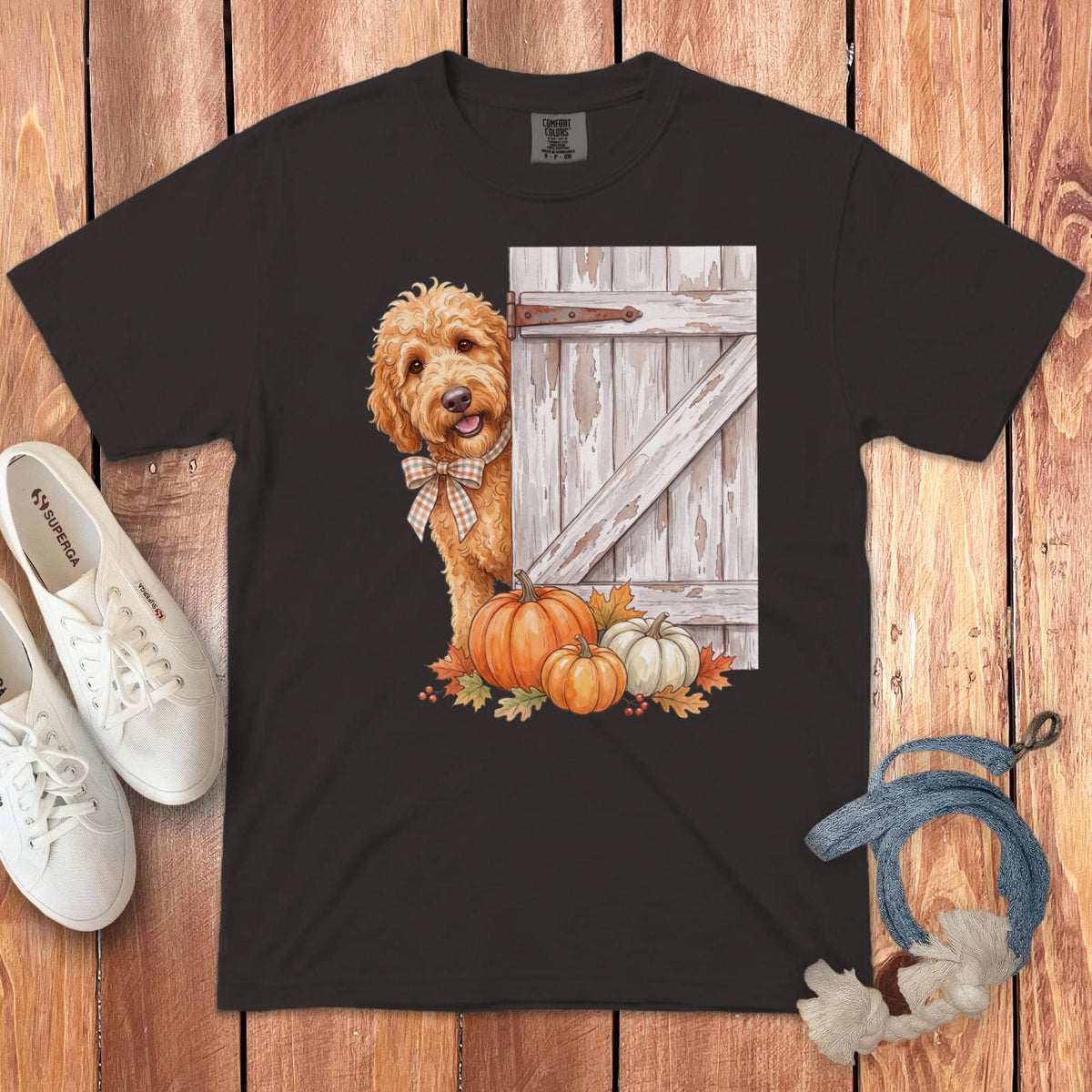 Goldendoodle peeking from behind a barn door with pumpkins and autumn leaves.