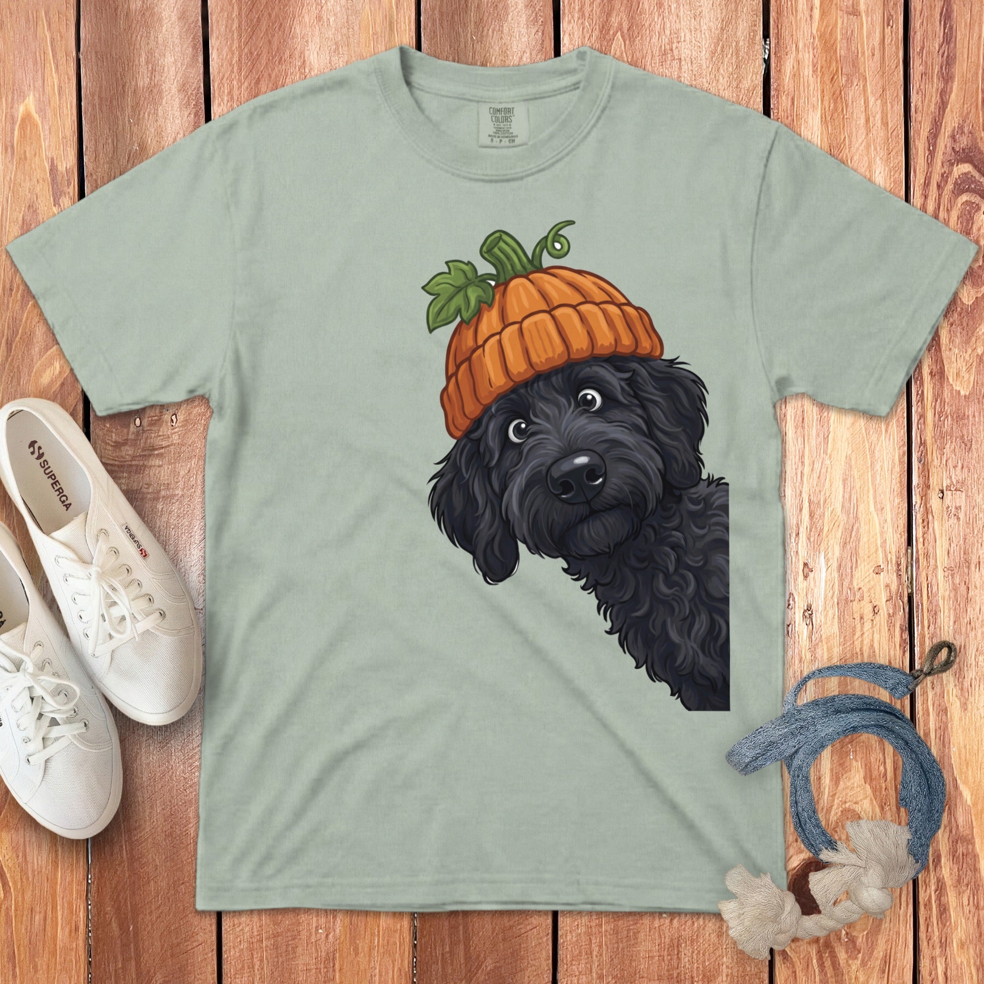 Black dog wearing a pumpkin hat peeks from the side of a light green t-shirt.