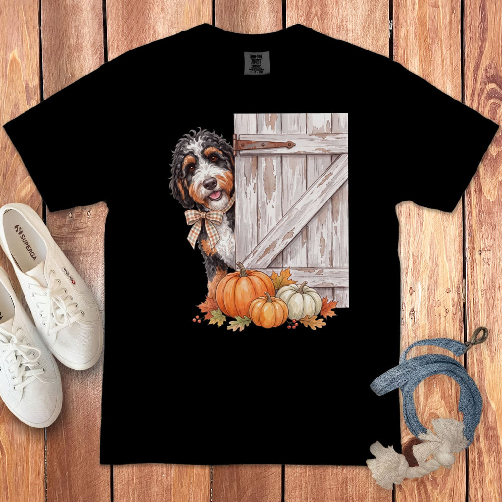 Bernese Mountain Dog peeking from behind a rustic barn door with pumpkins and autumn leaves.