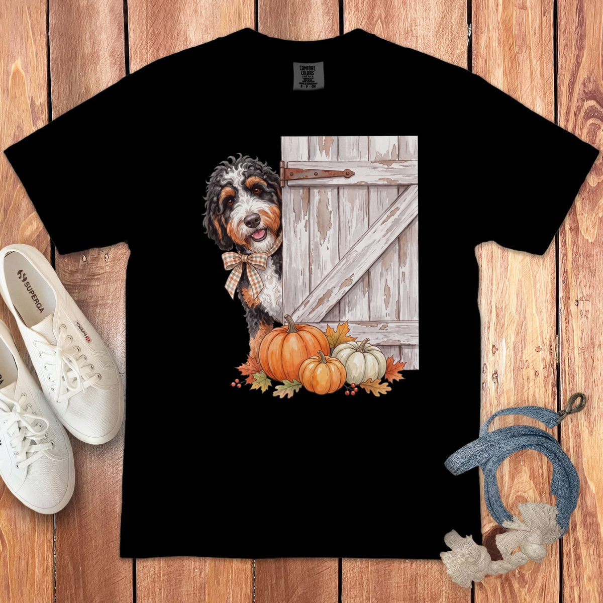 Bernese Mountain Dog peeking from behind a rustic barn door with pumpkins and autumn leaves.