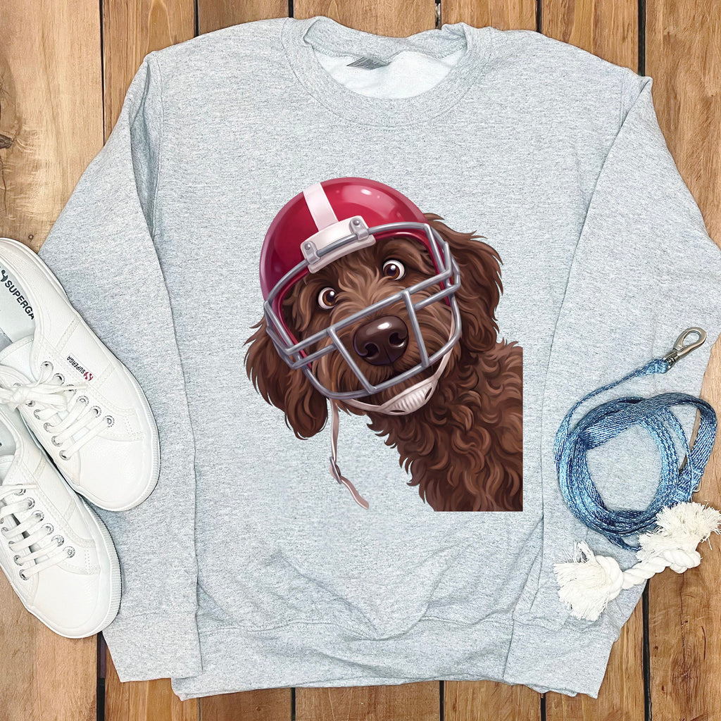 Brown dog wearing a red football helmet on a light gray sweatshirt.