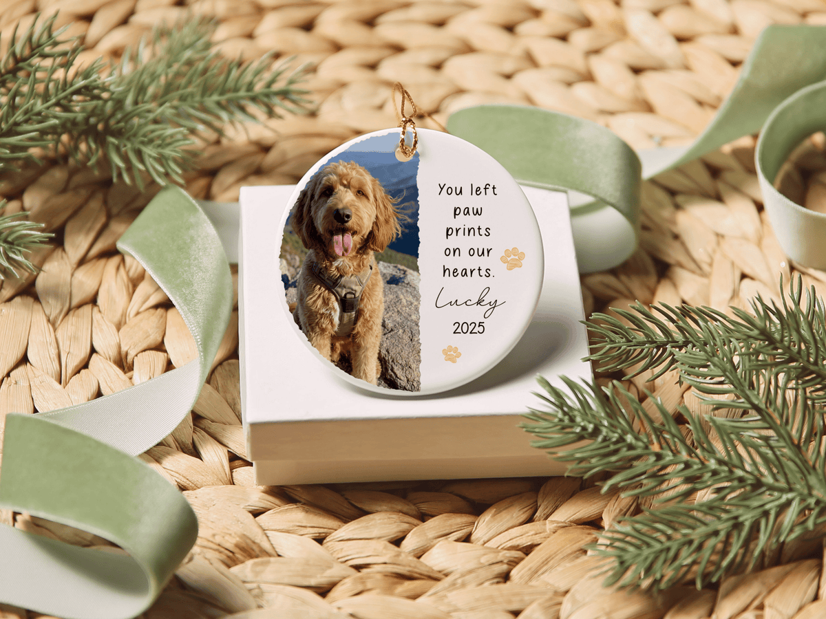 Personalized Paw Prints Heart Ornament in by AnywherePOD