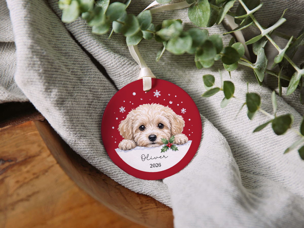 Peeking Snow Maltipoo Ornament