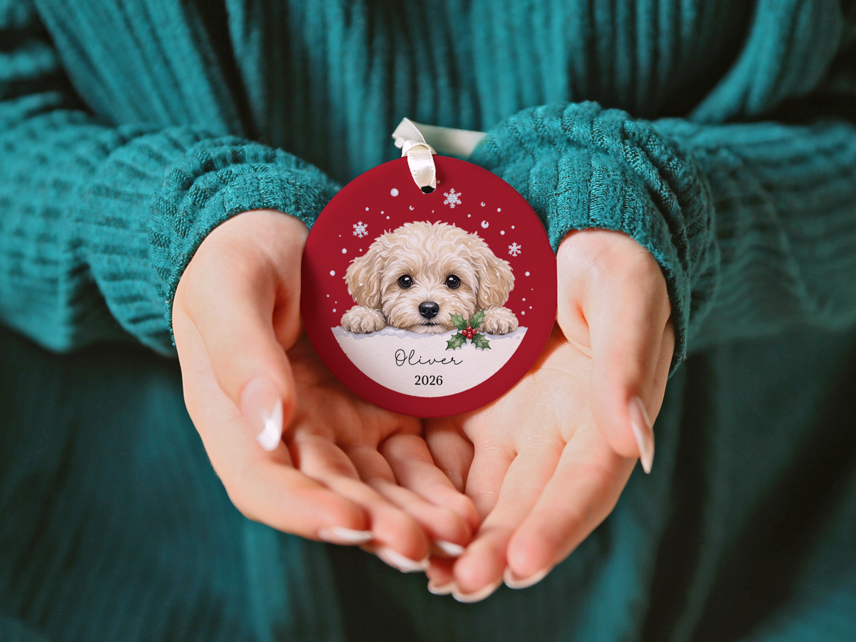 Peeking Snow Maltipoo Ornament