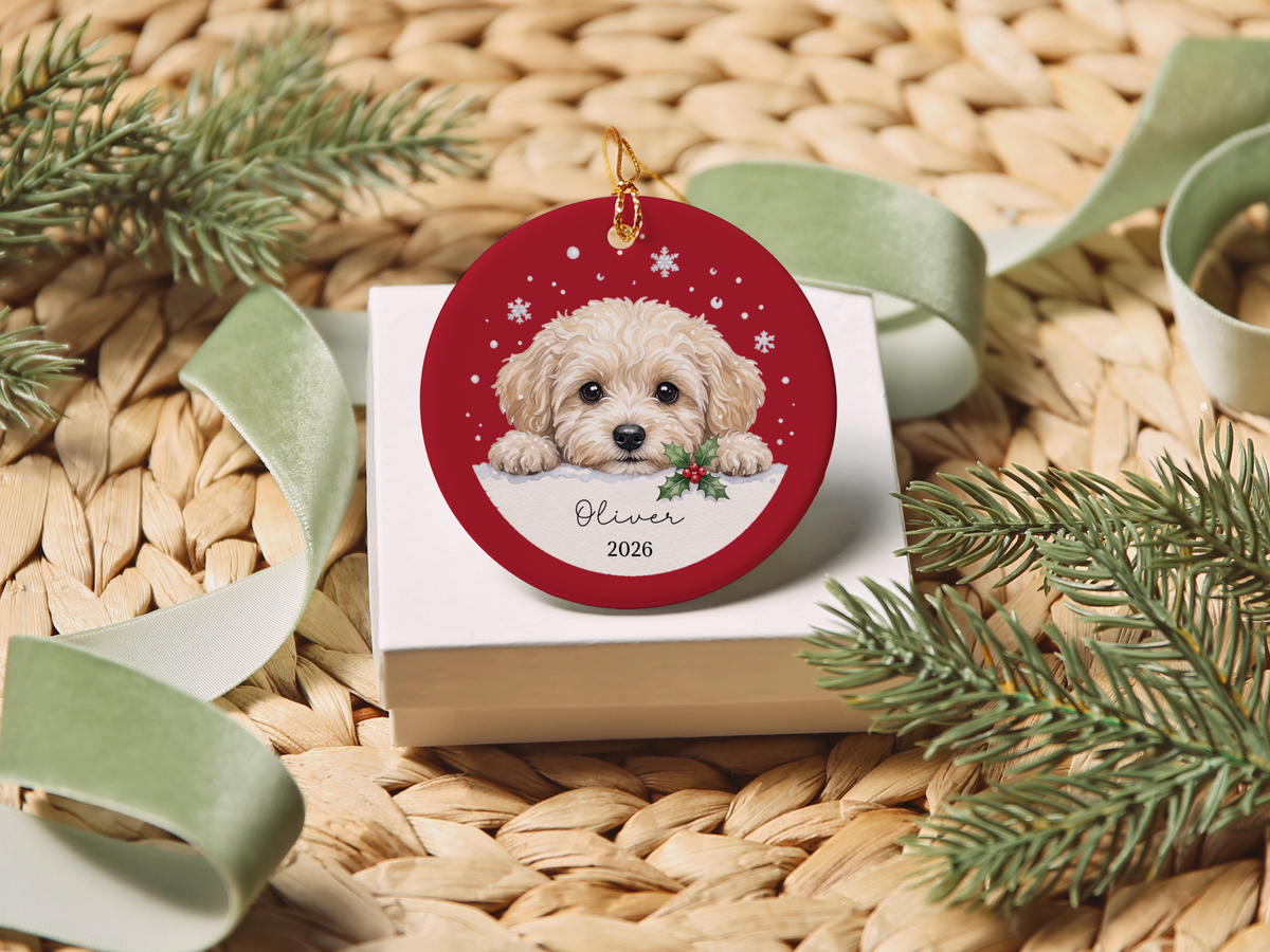 Peeking Snow Maltipoo Ornament