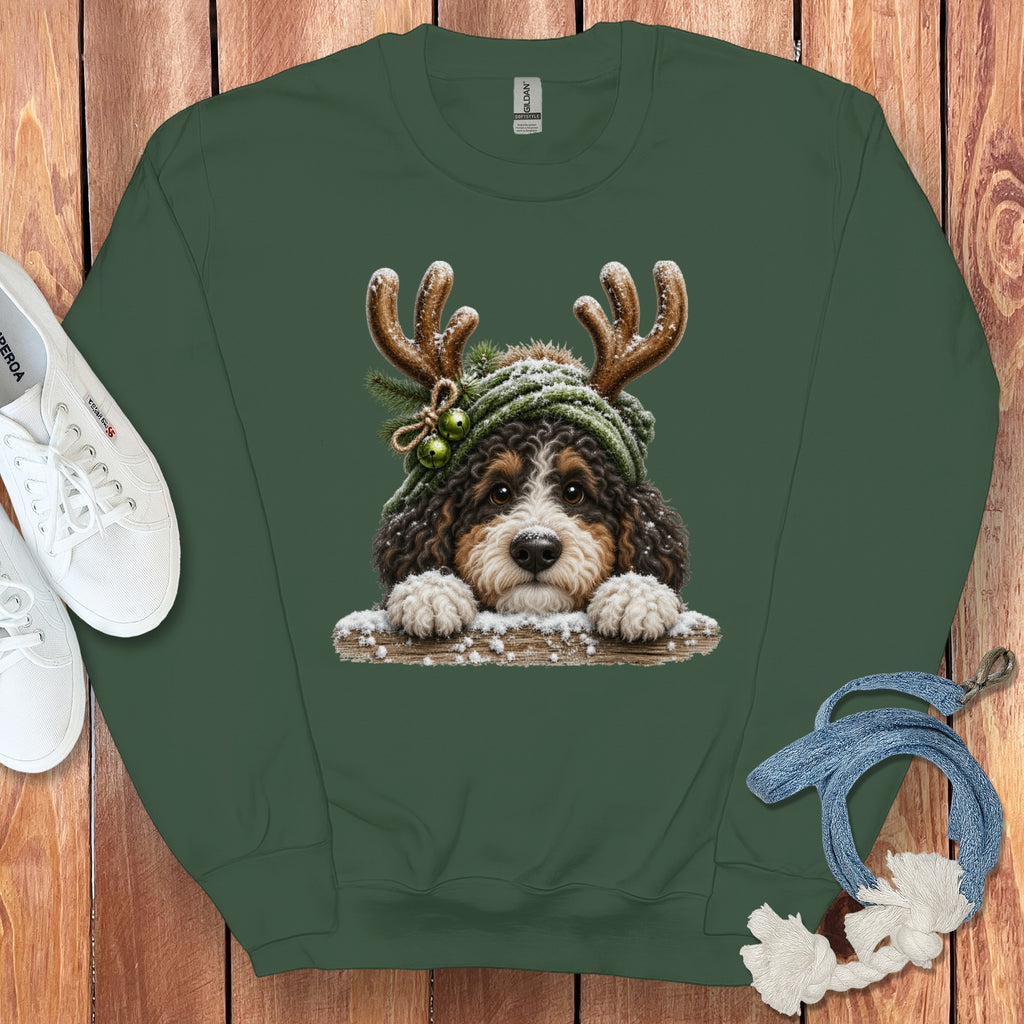 Bernedoodle dog wearing reindeer antlers and a knitted hat with bells on a green sweatshirt.