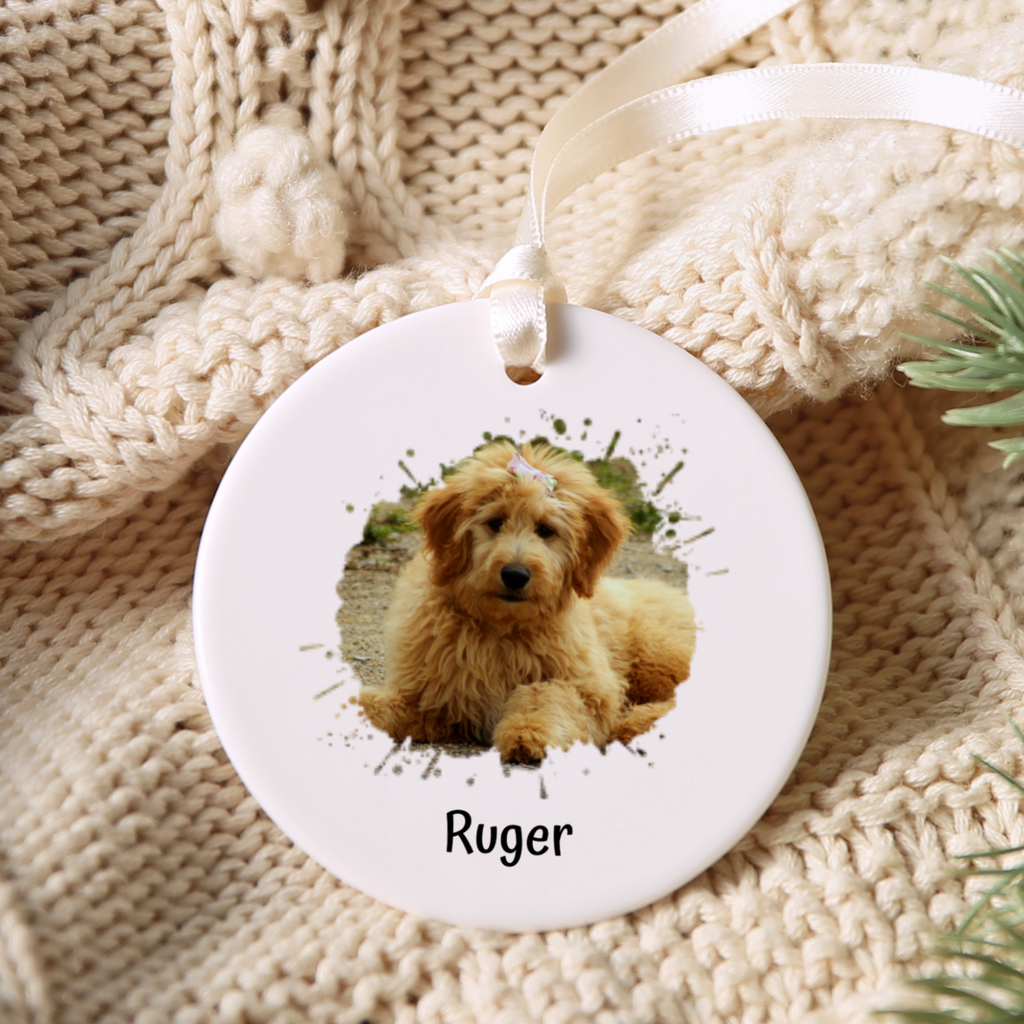 Custom Pet Photo Splash Christmas Ornament