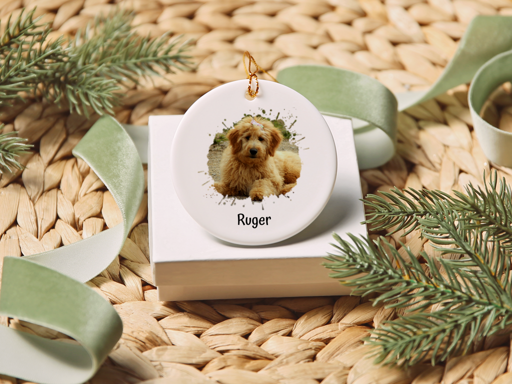 Custom Pet Photo Splash Christmas Ornament