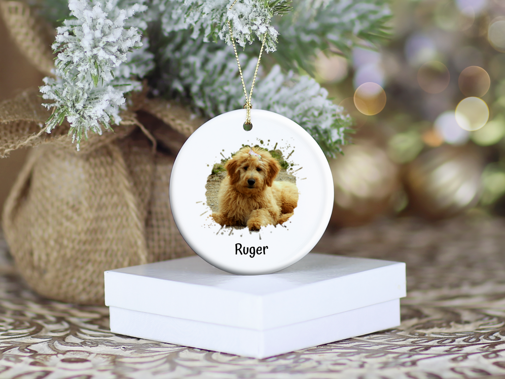 Custom Pet Photo Splash Christmas Ornament