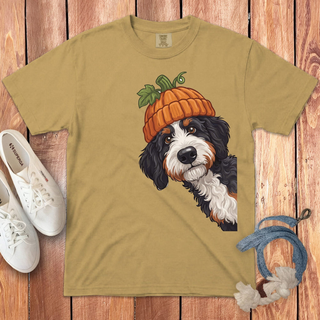 Bernese Mountain Dog wearing a pumpkin hat on a tan t-shirt.