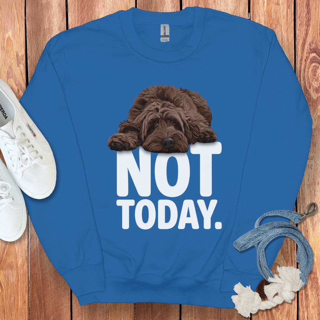 Not Today Cute Sleeping Dog Sweatshirt