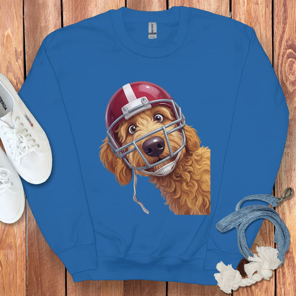Illustration of a fluffy dog wearing a red football helmet on a blue sweatshirt.