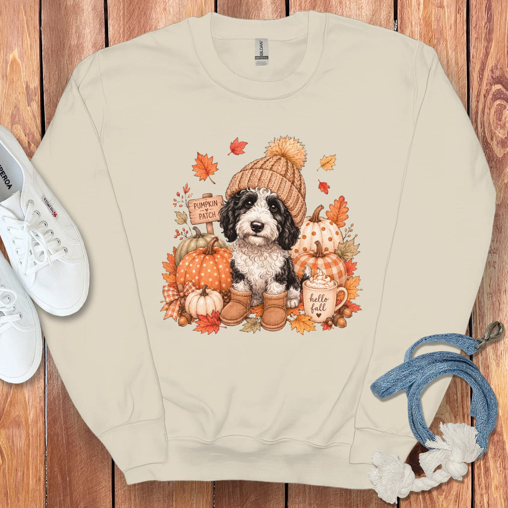 Sheepadoodle Pumpkin Patch Sweatshirt in Sand / S by Puppy Jo