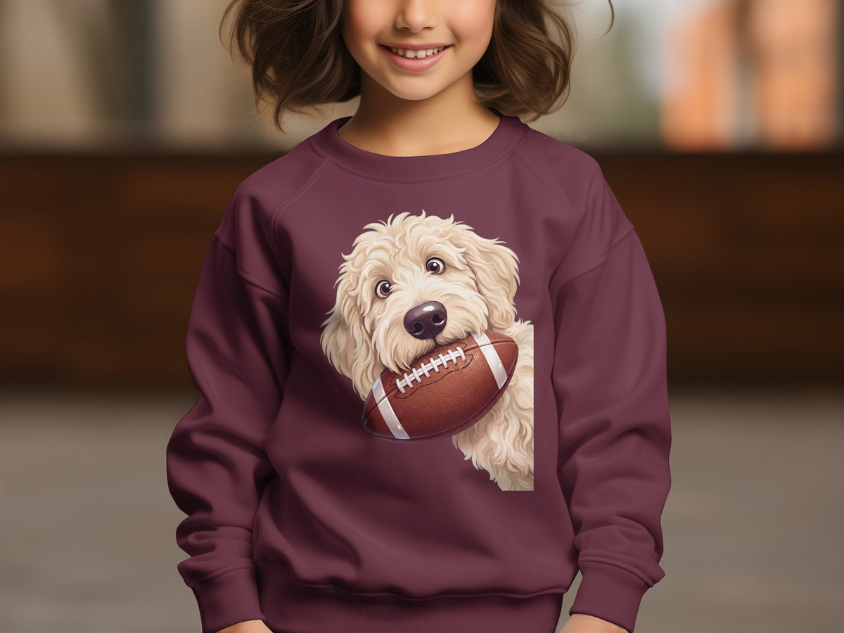 Maroon sweatshirt with a cartoon dog holding a football graphic.