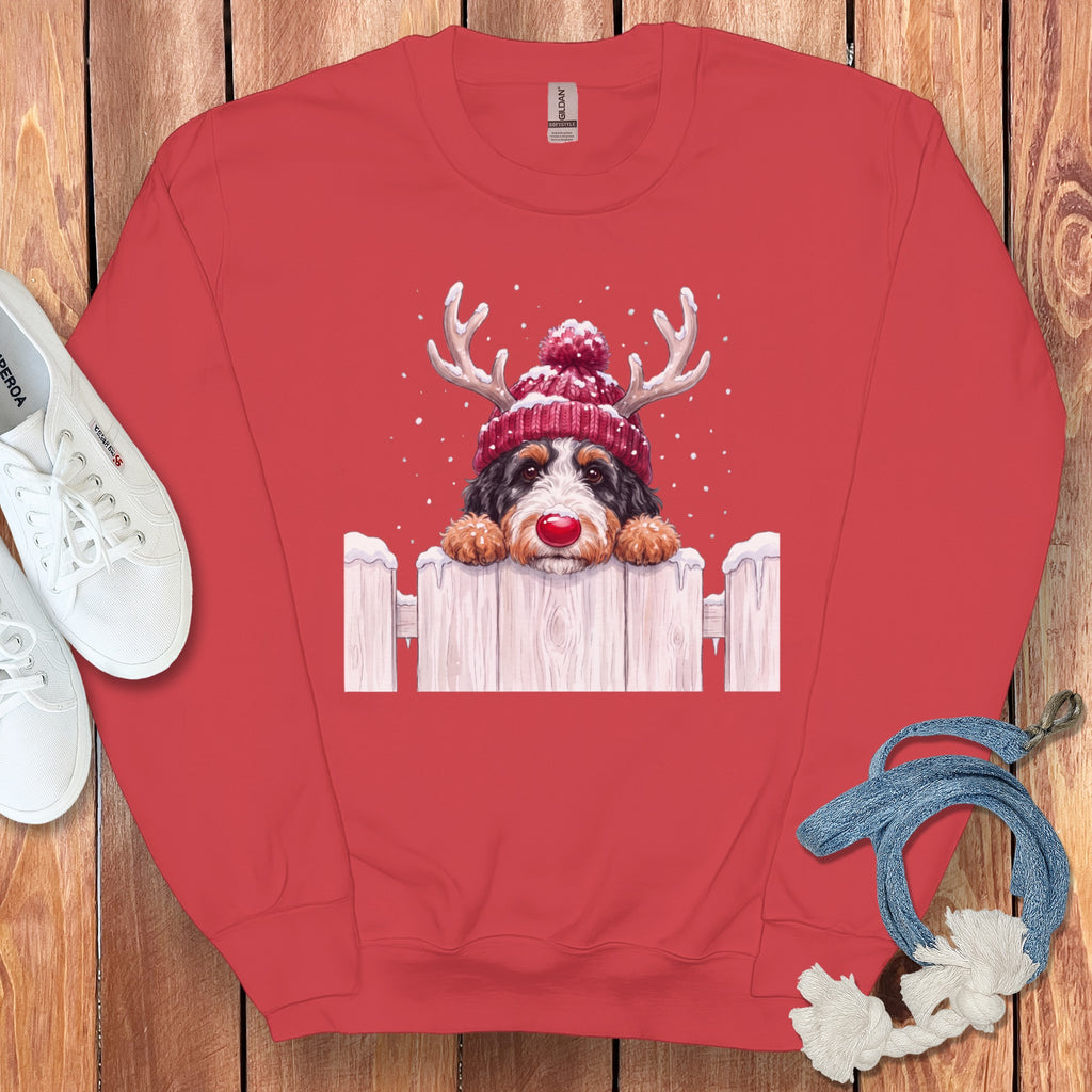 Bernese Mountain Dog in reindeer hat and red nose peeking over a snowy fence.