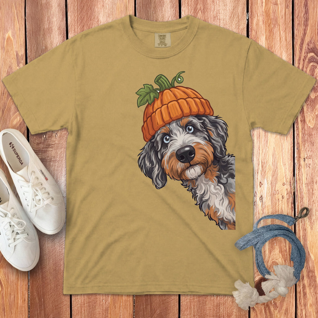 Bernese Mountain Dog wearing a pumpkin hat graphic on a gold t-shirt.