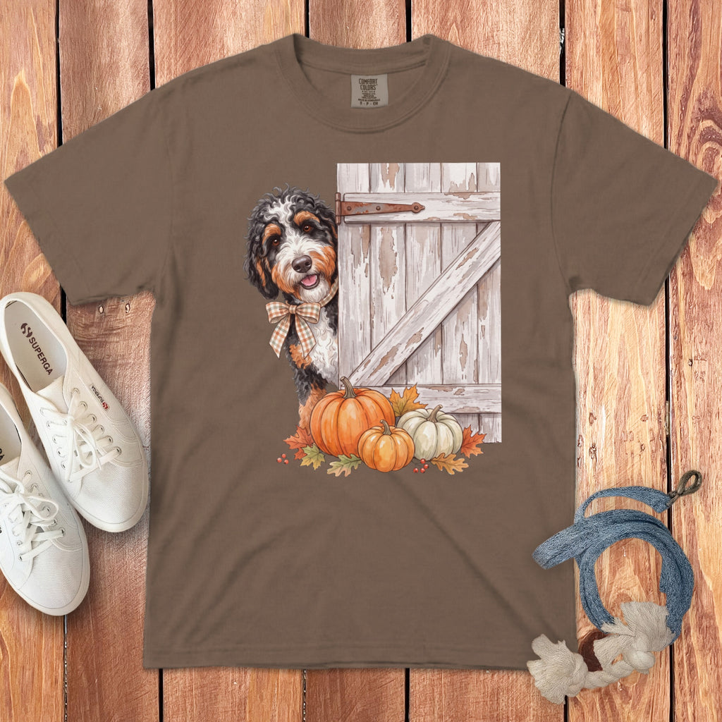 Bernese Mountain Dog peeking from behind a barn door with pumpkins and autumn leaves.