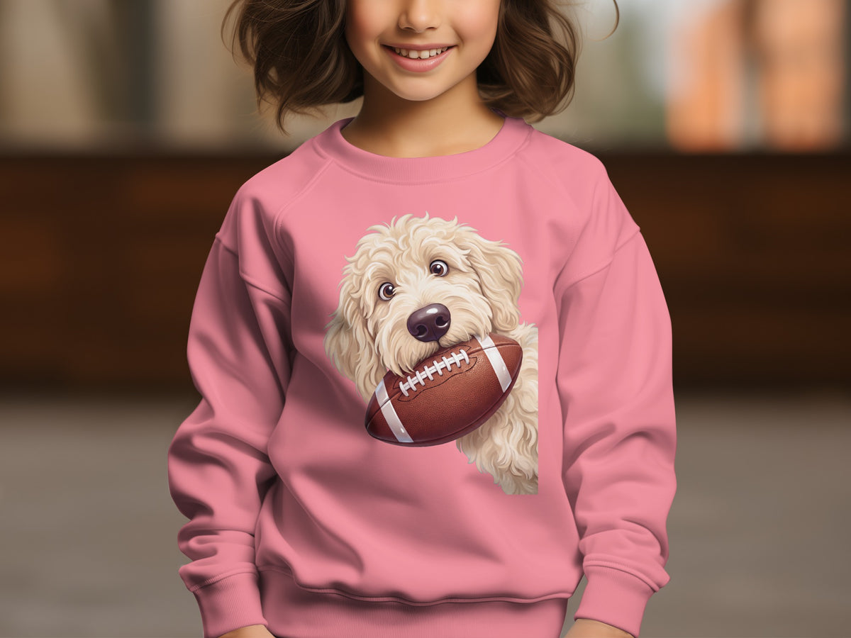 Pink sweatshirt with a cartoon dog holding a football.